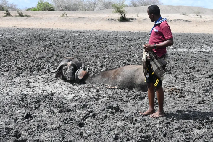 La dure réalité du changement climatique dans la nature. Verine Ogutu, Luo (Kenya)