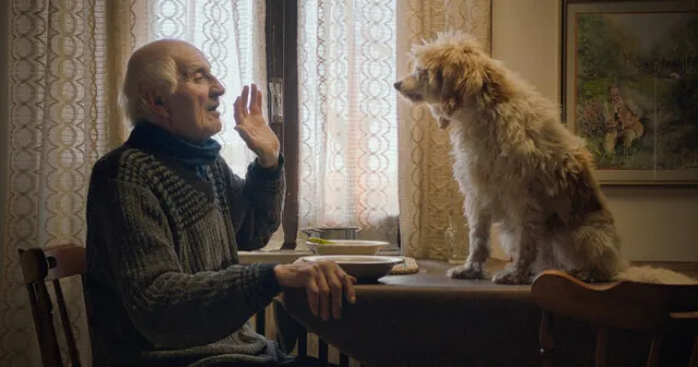 Image du film avec un homme communiquant avec son chien truffier