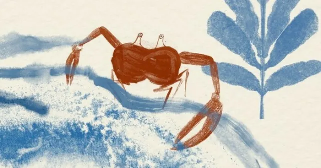 Le dessin d'un crabe dans l'eau